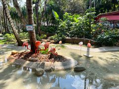 -三亚蜈支洲岛旅游区