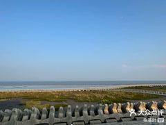 -南汇嘴观海公园