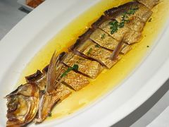 酱香腌鲜大白鱼-二十四单 淮扬新味