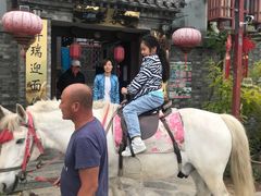 -梨木台悦来客农家院