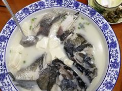 -全乐鱼馆·淳牌有机鱼直营店