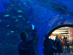 -成都浩海立方海洋公园