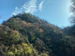 -秦岭风景区