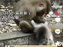 -昆明动物园