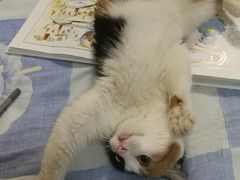 -美迦爱-牙专科·兔科·骨科诊疗中心(北苑店)