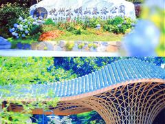 -东明山森林公园