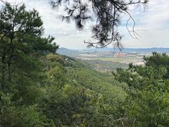 -铁山坪森林公园