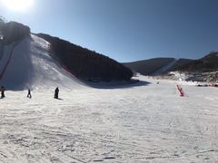 -多乐美地滑雪场