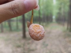 -汉景帝阳陵博物院