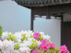 -上海醉白池公园