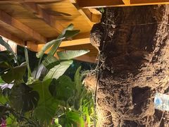 -泰堤坊(淡水体育馆店)