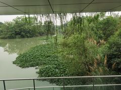 -中国湿地博物馆
