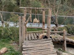 -黔灵山公园