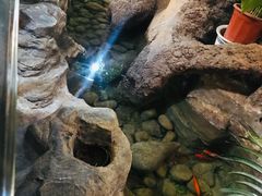 -武林峰餐厅(龙湖星悦荟店)