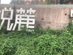 -茶颜悦色(岳麓山顶店)