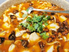 大理木瓜鱼-醉云喃