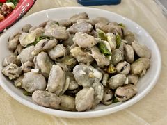 -东吴霸王兔(松青路店)