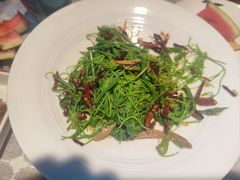 -三强鸽子(中原路店)