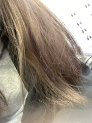 -CIT造型·烫发·染发
