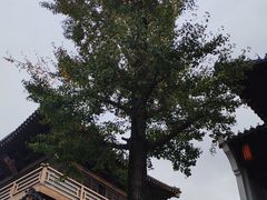 -香积寺