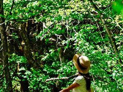 -叠溪松坪沟景区