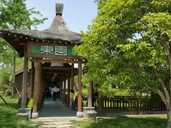 -东园小馆·早茶·淮扬小炒(宋夹城店)