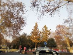 -颐和路民国时期公馆风貌区