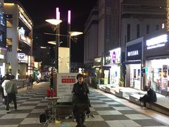 -宝健路步行街(Pedestrian Shopping Street)