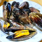 吃小海鲜的季节