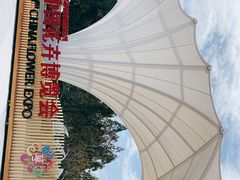 -东平国家森林公园