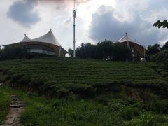 -帐篷客·溪龙茶谷度假酒店