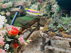 -花之城