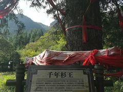-神农架景区