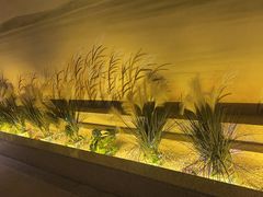 -東大方(湖州白鹭迎店)
