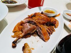 -蝶园·装修中(BFC外滩金融中心店)