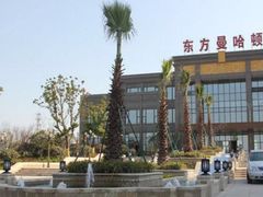 -新湖明珠城