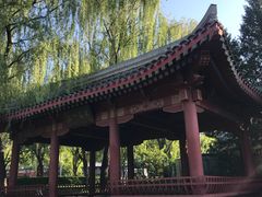 -元大都城垣遗址公园