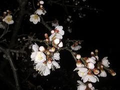 -白塘生态植物园