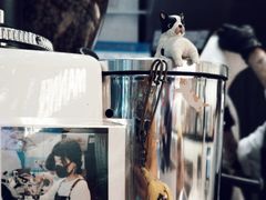 -Manner Coffee(大宁国际商业广场店)