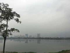 -飞来湖湿地公园