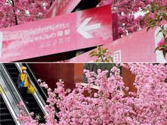 -北京奥林匹克公园