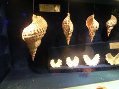 -大连圣亚海洋世界