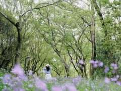 -西湖风景区-江洋畈生态公园
