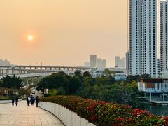 -厦门园林博览苑