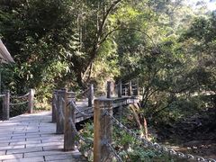 -九龙江国家森林公园