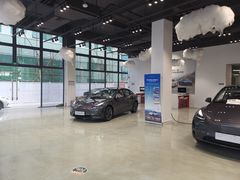 -TESLA 特斯拉(深圳观澜特斯拉直营钣喷中心)