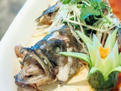 青斑鱼-安蒂娅.悦景轩中餐厅(西乡店)