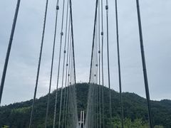-老石黑山羊毛驴肉火锅(金凯广场店)