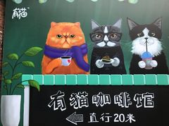 -有猫主题·治愈系猫咖(曾厝垵店)