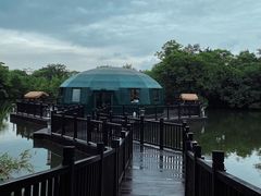 -太极禅苑